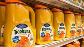 Read more about the article Is Orange Juice Vegan