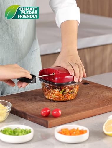 Manual Vs Electric Chopper UK